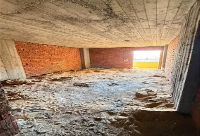 7975162 - Property Image 2