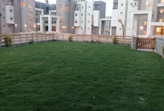 8219468 - Property Image 3