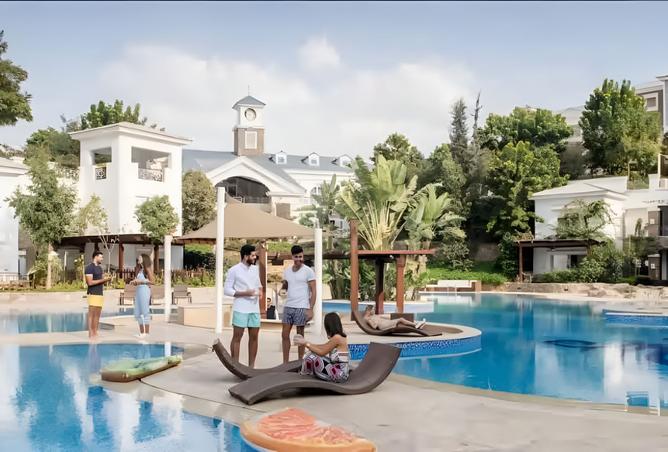 8432654 - Property Image 3