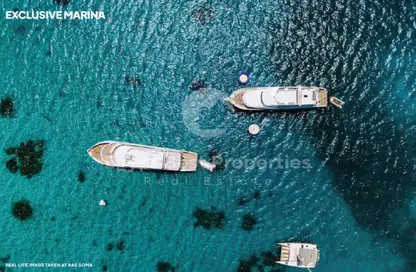 شاليه - غرفة نوم - 2 حمامات للبيع في رأس سوما - سفاجا - الغردقة - محافظة البحر الاحمر شاليه - غرفة نوم - 2 حمامات للبيع في رأس سوما - سفاجا - الغردقة - محافظة البحر الاحمر