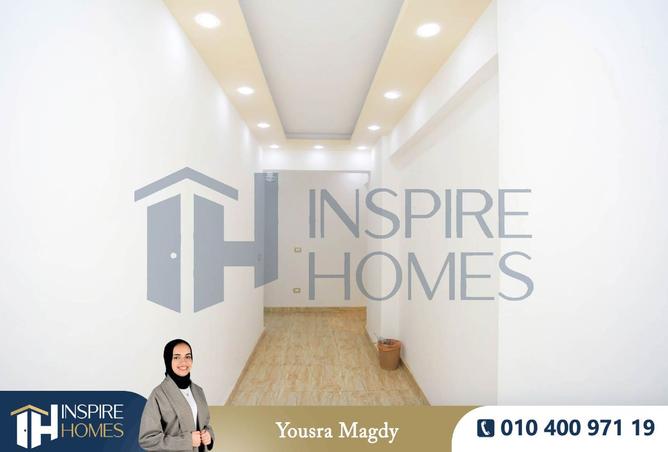 8249861 - Property Image 3