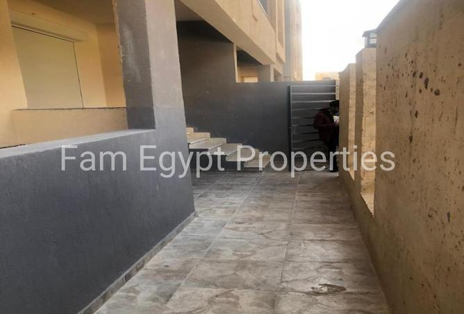 8237867 - Property Image 3