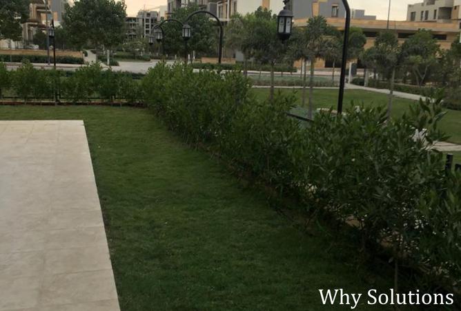 8093217 - Property Image 2