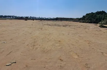 قطعة أرض - استوديو للبيع في نيو جيزة - طريق مصر اسكندرية الصحراوي - مدينة 6 أكتوبر - الجيزة