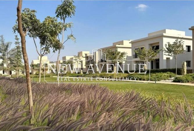 8198117 - صورة العقار 3