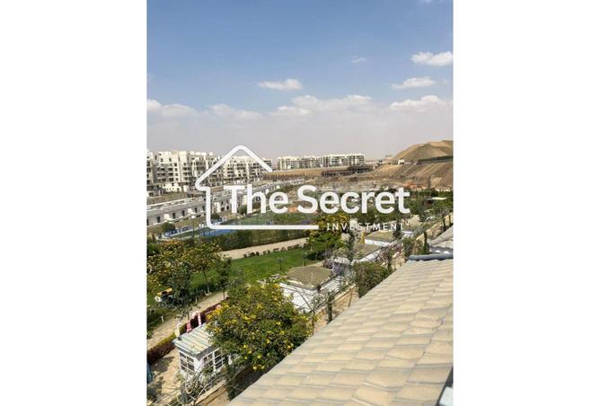 8181153 - Property Image 3