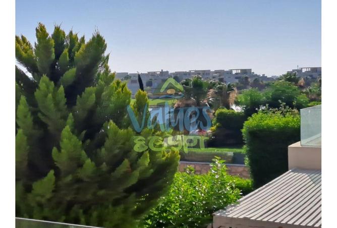 8276968 - صورة العقار 3