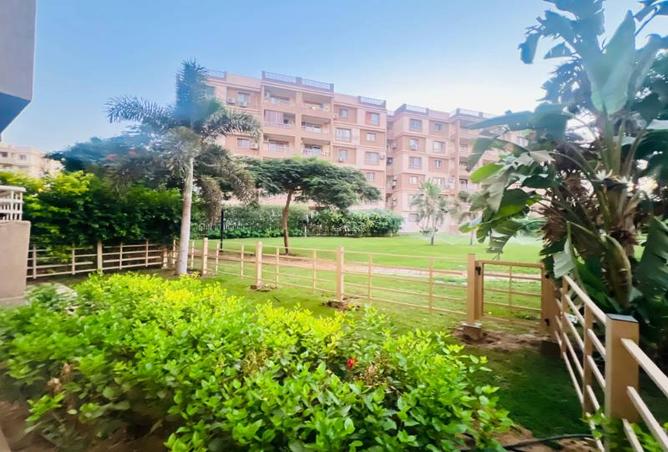 8186138 - الصورة الرئيسية للعقار