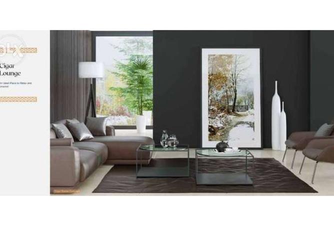 8156616 - Property Image 3