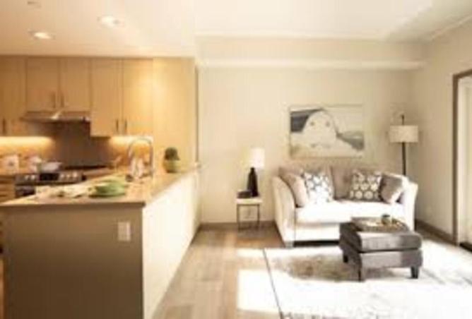 8379038 - Property Image 3