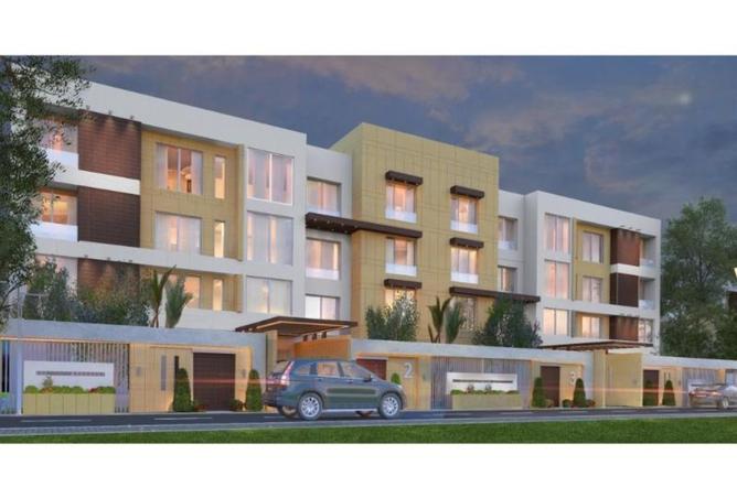 8150481 - Property Image 3