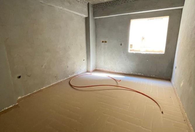 8199242 - Property Image 2