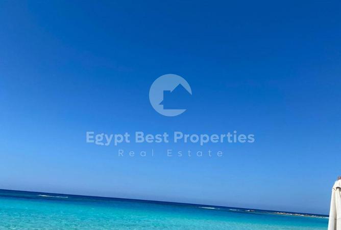 7906253 - صورة العقار 3