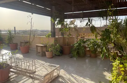 سطح - 3 غرف نوم - 2 حمامات للايجار في سرايات المعادي - حي المعادي - القاهرة