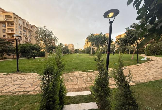 8222525 - Property Image 3