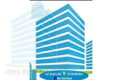 Apartment - 2 Bedrooms - 2 Bathrooms for rent in Stanley Bridge - Stanley - Hay Sharq - Alexandria