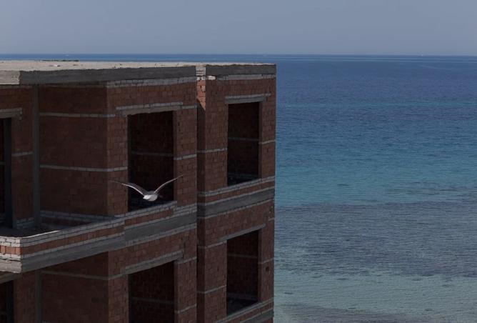 8341290 - Property Image 3