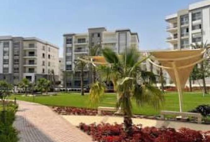 8134756 - Property Image 2