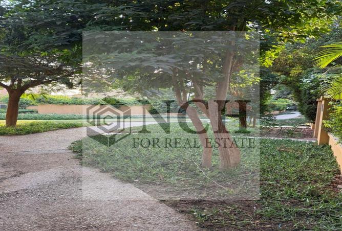 8192782 - صورة العقار 3