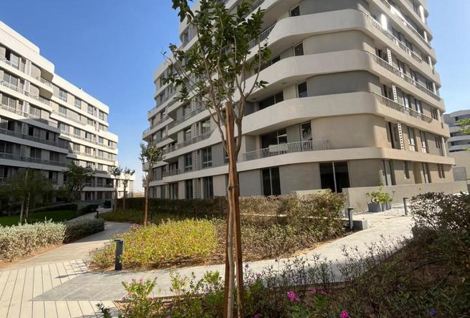 8396529 - Property Image 3