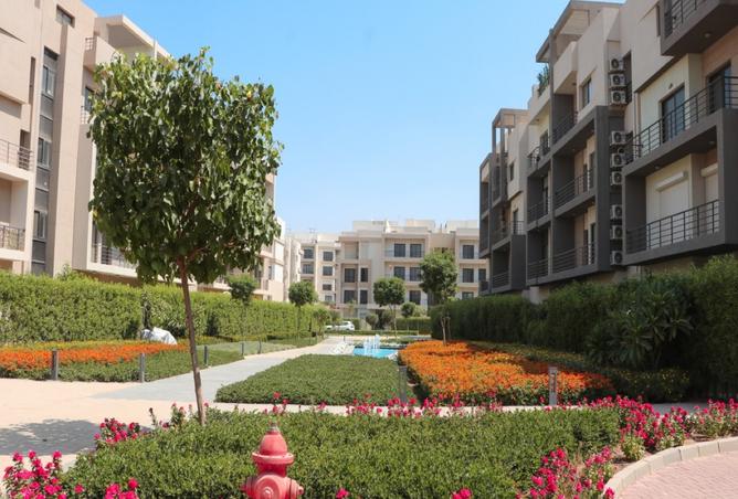 8012761 - صورة العقار 3