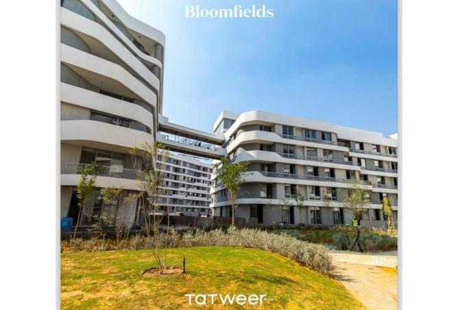 8338657 - صورة العقار 2