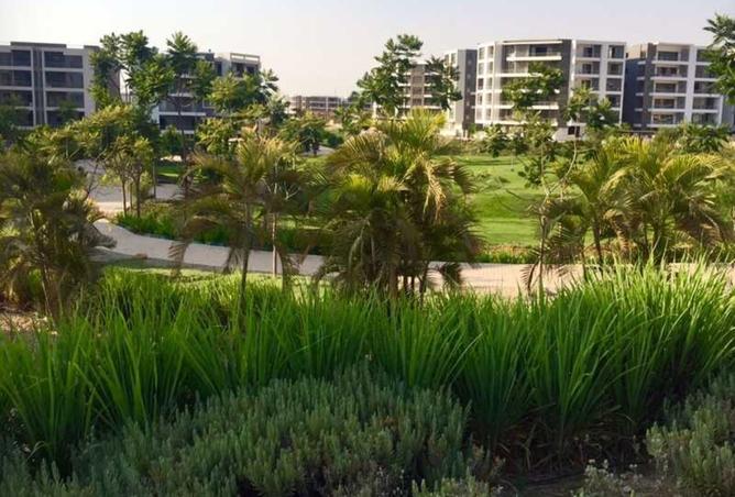 7885835 - الصورة الرئيسية للعقار