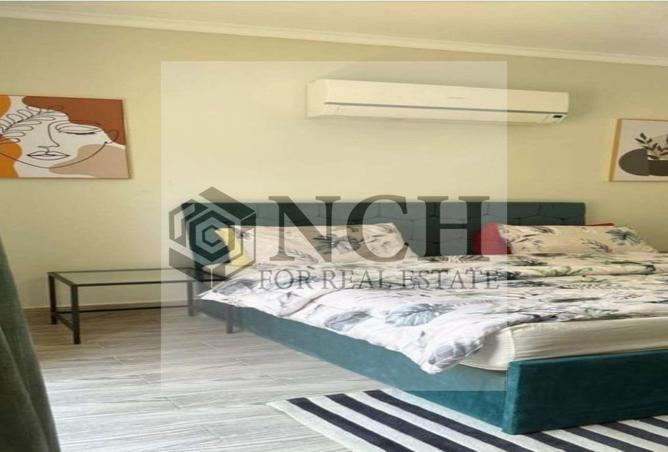 8146947 - Property Image 3