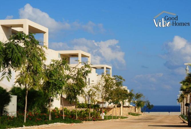 8532273 - Property Image 3