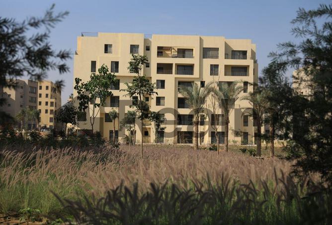 8377083 - صورة العقار 2