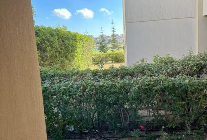 8020647 - الصورة الرئيسية للعقار