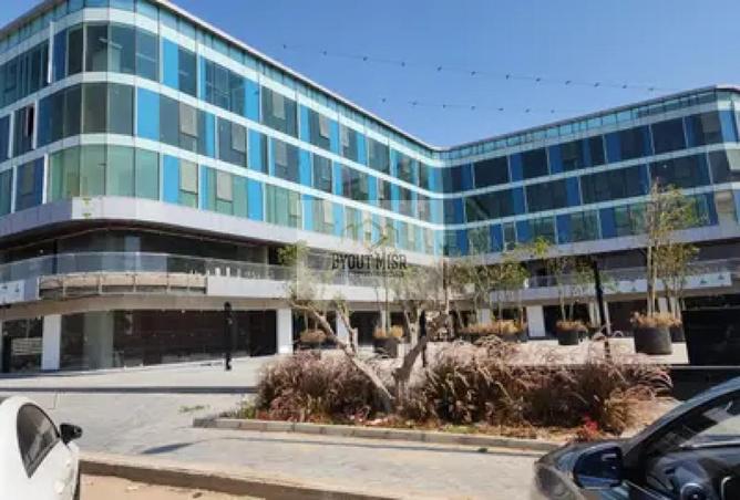 8392243 - Property Image 2