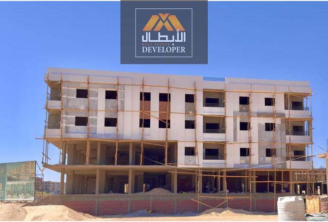 7985610 - Property Image 3