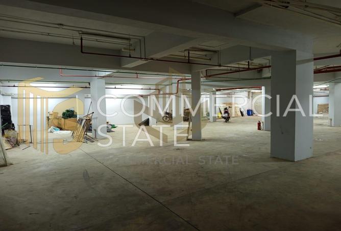 8136456 - Property Image 3