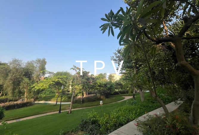 8030416 - Property Image 3