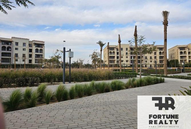 8370209 - Property Image 3