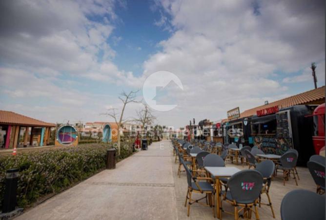 8140204 - Property Image 3