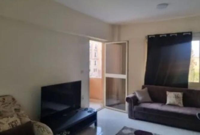 8184506 - Property Image 3