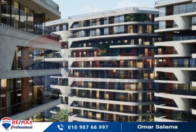 8292452 - Property Image 3