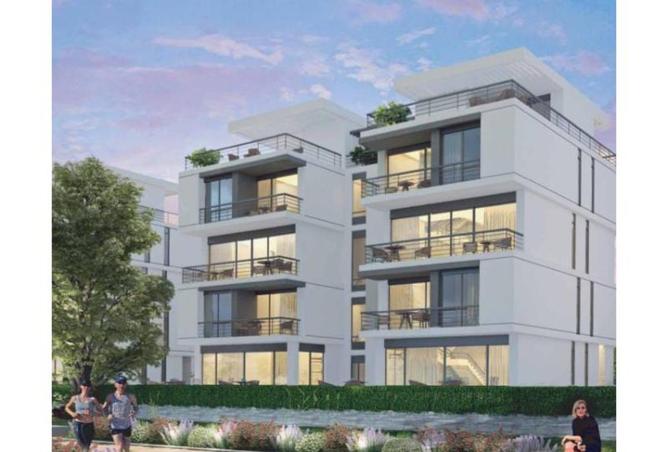 8435397 - Property Image 3