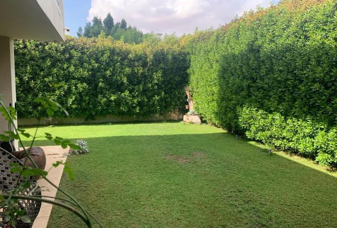 8250892 - صورة العقار 3