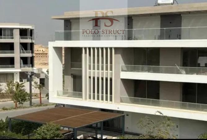 8072203 - Property Image 3