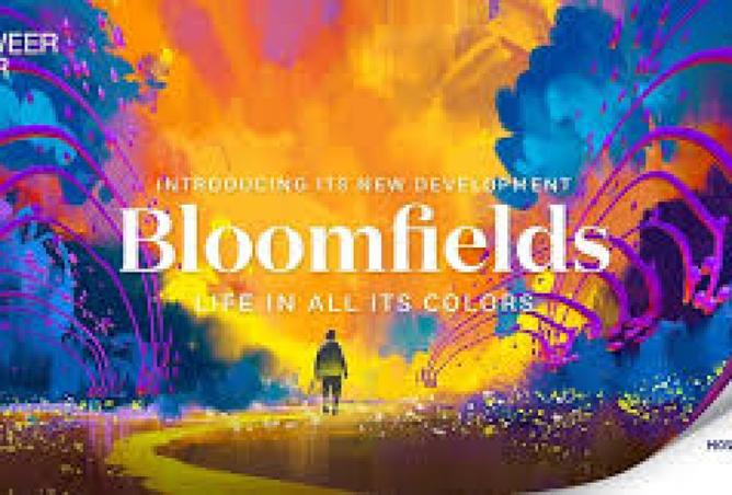 8198963 - صورة العقار 3