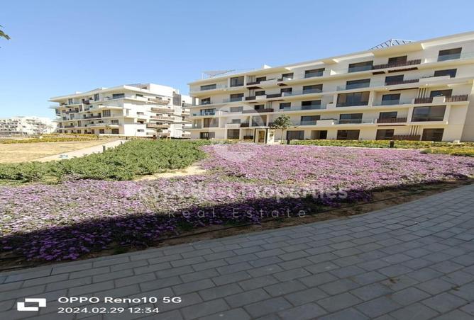 7983668 - Property Image 2
