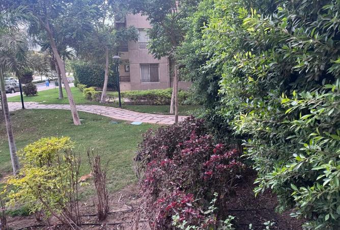 8260804 - الصورة الرئيسية للعقار