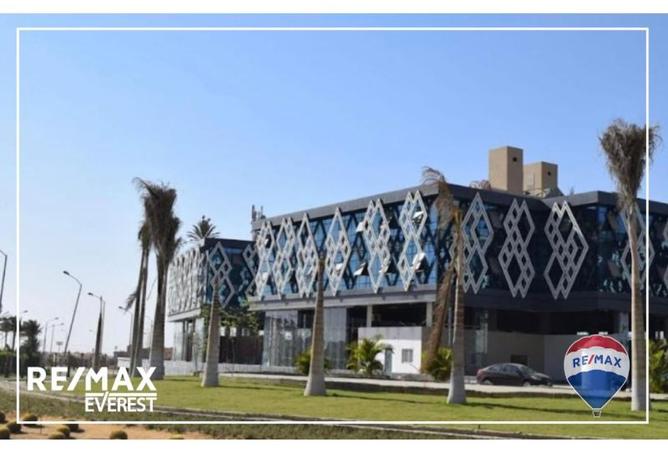 8058702 - صورة العقار 3