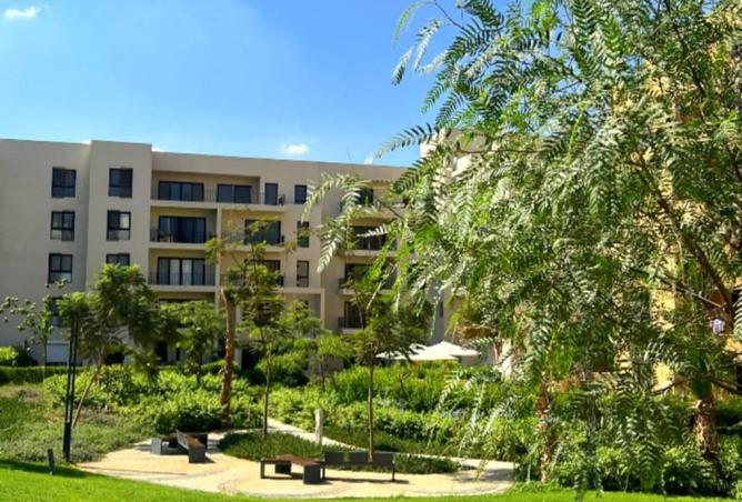 8324185 - Property Image 3