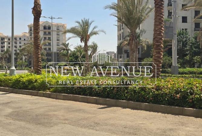 8282644 - Property Image 3