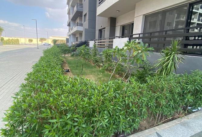 7908169 - Property Image 3
