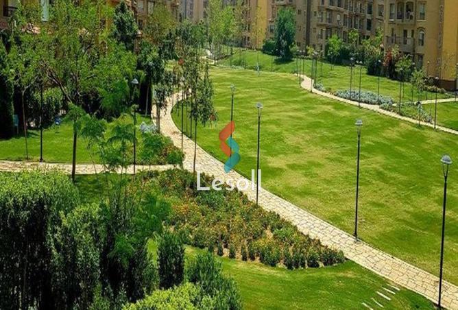 8236805 - صورة العقار 2